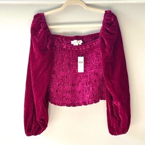 ANTHROPOLOGIE Velvet Blouse